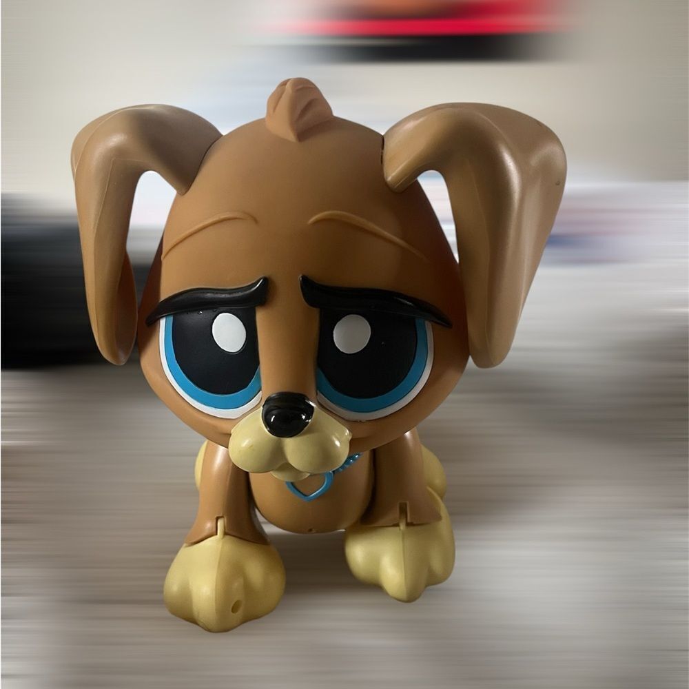 RESCUE PETS
WALKING DOG - GREAT CONDITION